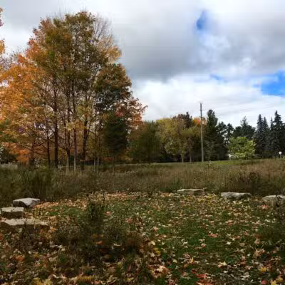 Avon Nature Area - Rochester Hills,