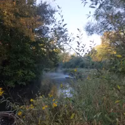 Avon Nature Area - Rochester Hills,