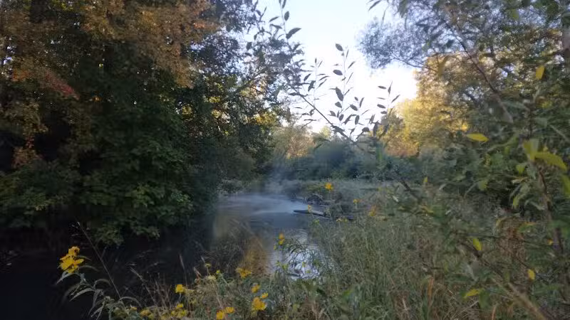 Avon Nature Area - Rochester Hills,