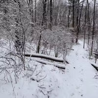 Bloomer Park - Rochester Hills,