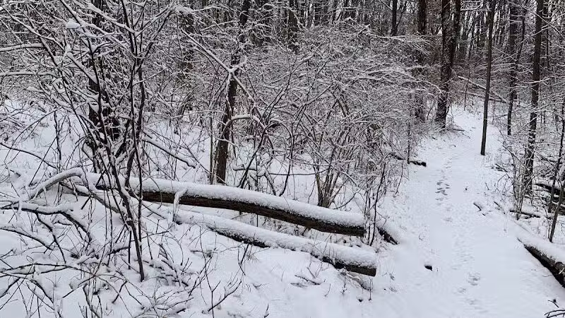 Bloomer Park - Rochester Hills,