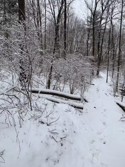 Bloomer Park - Rochester Hills,