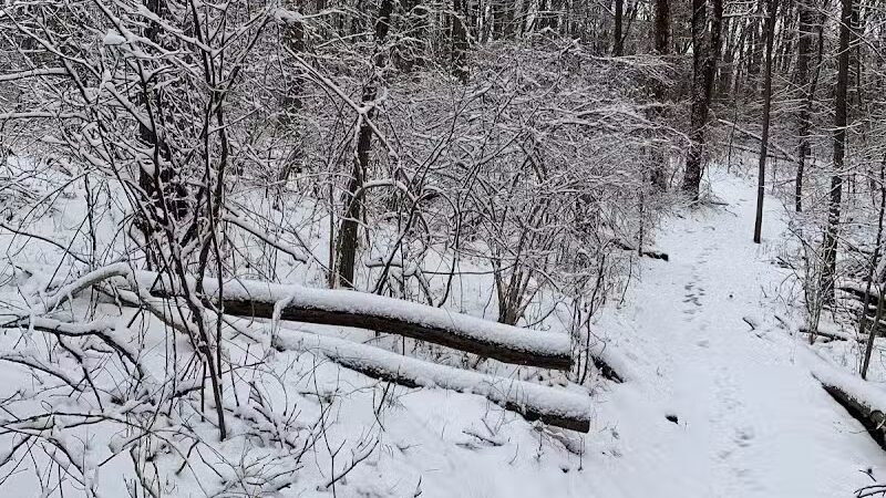 Bloomer Park - Rochester Hills,
