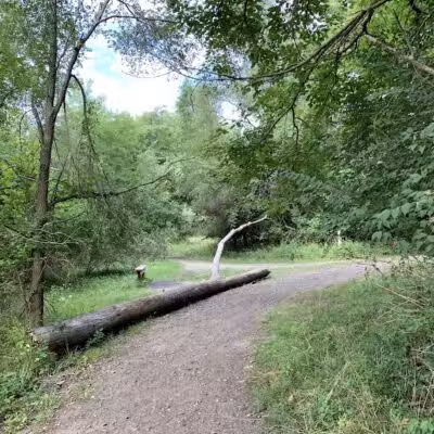 Bloomer Park - Rochester Hills,