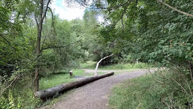 Bloomer Park - Rochester Hills,