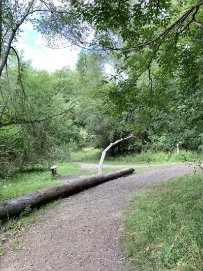 Bloomer Park - Rochester Hills,