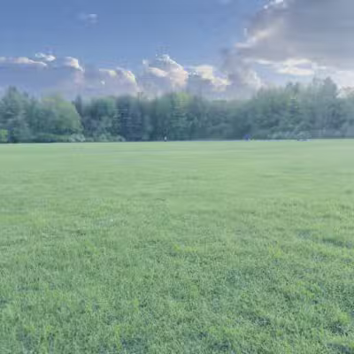 Bloomer Park - Rochester Hills,