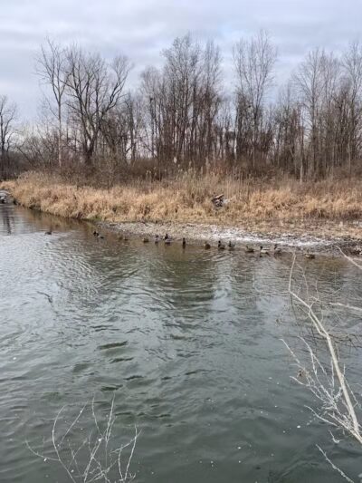 Bloomer Park - Rochester Hills,