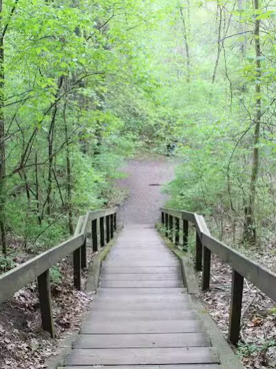 Bloomer Park - Rochester Hills,