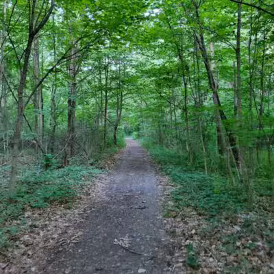 Borden Park - Rochester Hills,