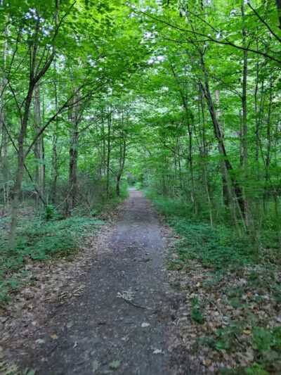 Borden Park - Rochester Hills,