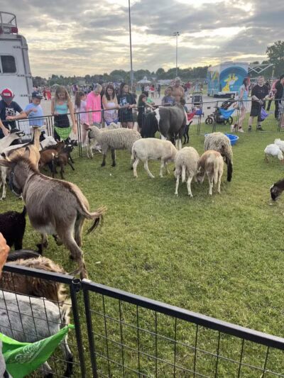 Borden Park - Rochester Hills,