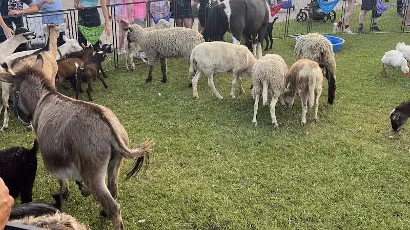 Borden Park - Rochester Hills,