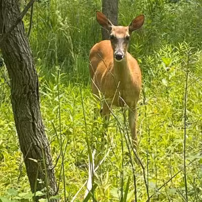 Highlands Sensory Trailhead - Rochester Hills,