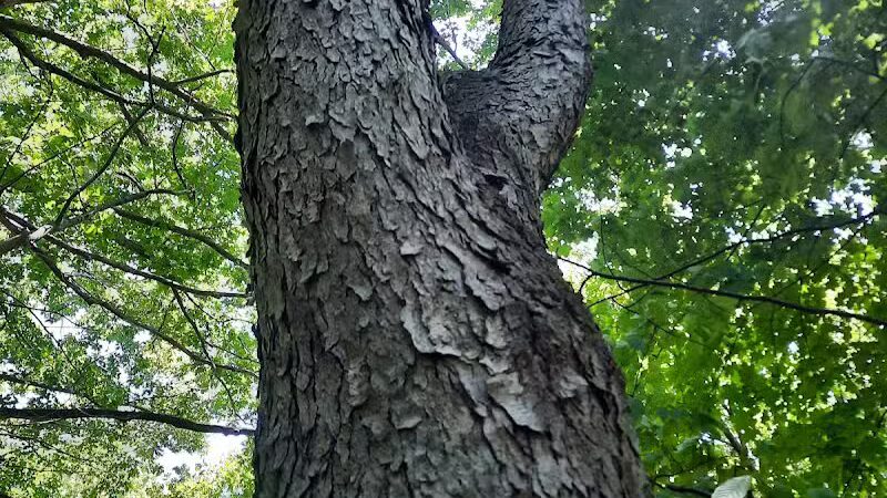 Highlands Sensory Trailhead - Rochester Hills,