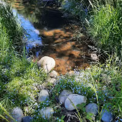 Highlands Sensory Trailhead - Rochester Hills,