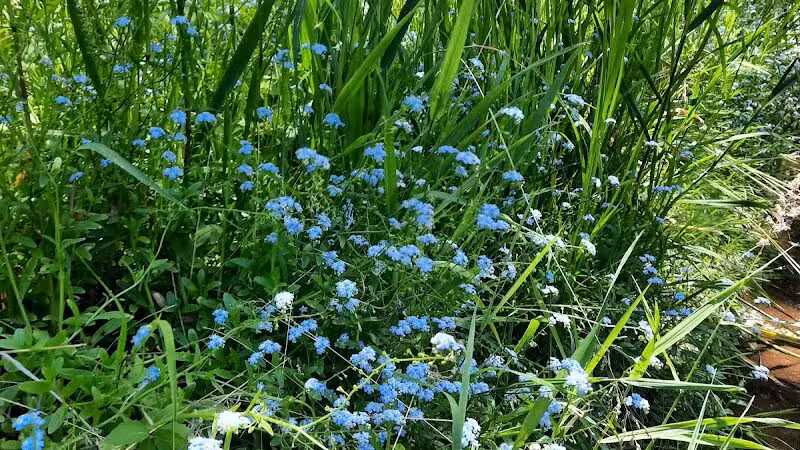 Highlands Sensory Trailhead - Rochester Hills,