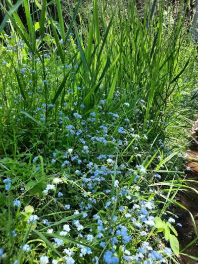 Highlands Sensory Trailhead - Rochester Hills,