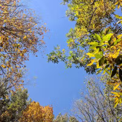 Highlands Sensory Trailhead - Rochester Hills,