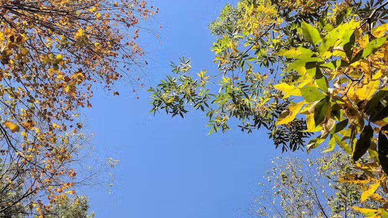 Highlands Sensory Trailhead - Rochester Hills,