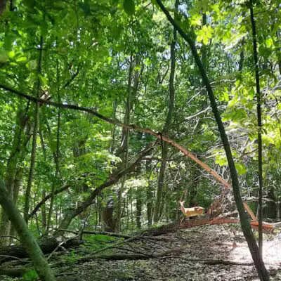Highlands Sensory Trailhead - Rochester Hills,