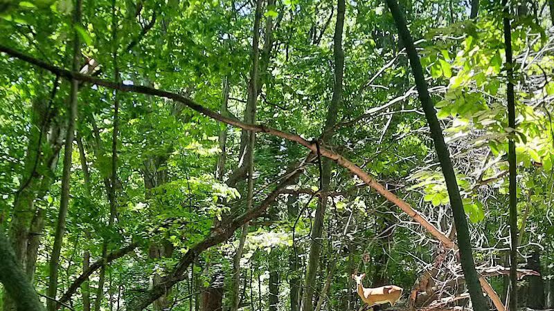 Highlands Sensory Trailhead - Rochester Hills,