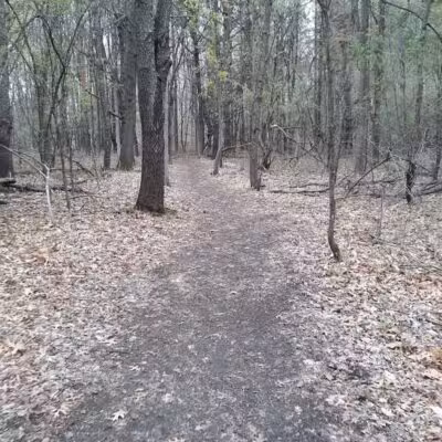 Highlands Sensory Trailhead - Rochester Hills,