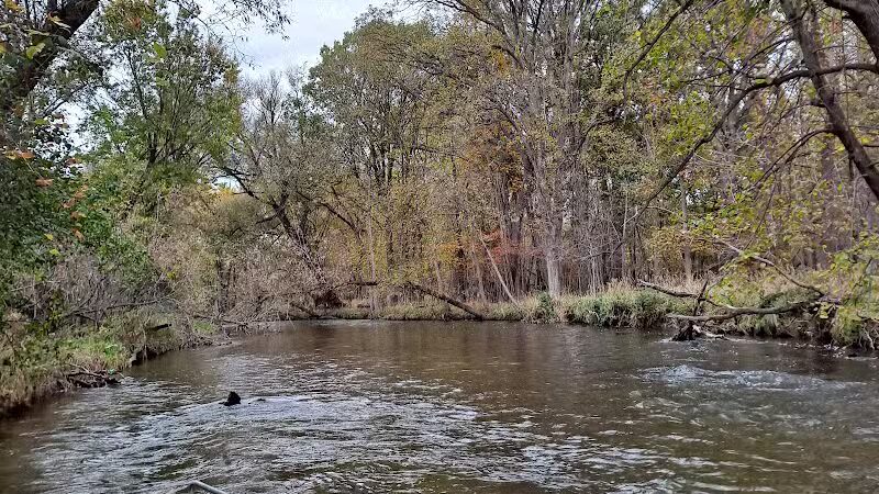 Innovation Hills - Rochester Hills,