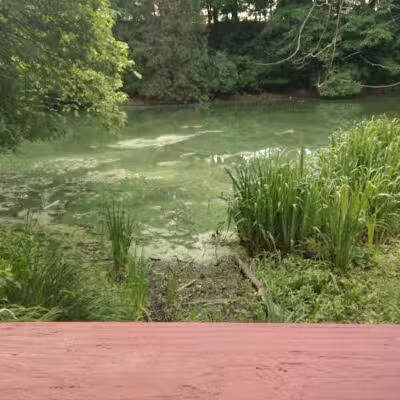 Lake Norcentra Park - Rochester Hills,