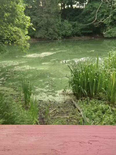 Lake Norcentra Park - Rochester Hills,