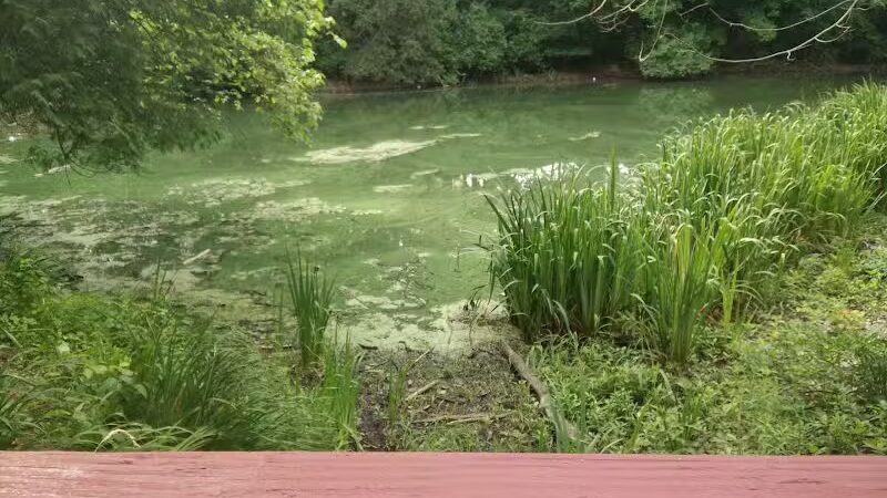 Lake Norcentra Park - Rochester Hills,