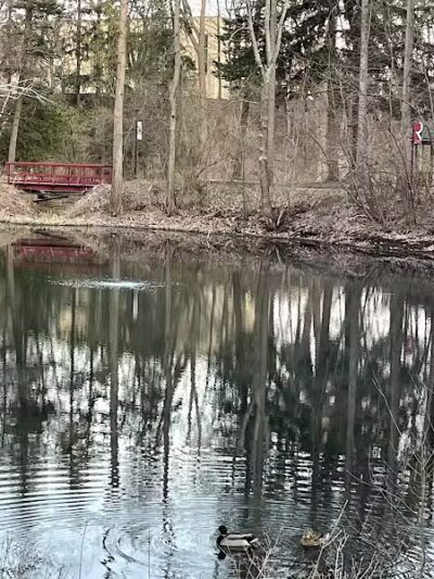 Lake Norcentra Park - Rochester Hills,