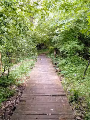 Avon Nature Area - Rochester Hills,