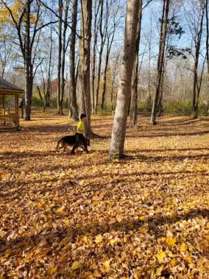 Lake Norcentra Park - Rochester Hills,