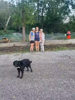 Yates Park - Rochester Hills, MI