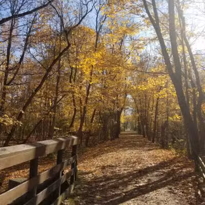 Paint Creek Trail parking - Dutton Rd - Rochester Hills,