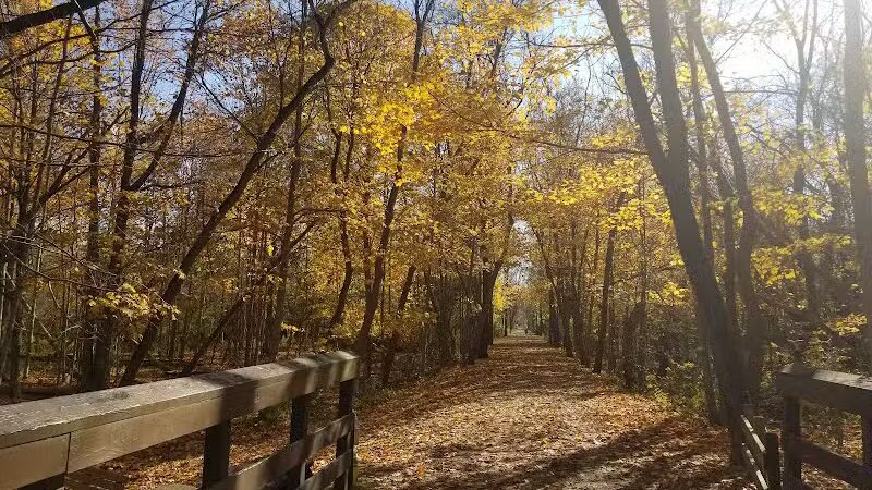 Paint Creek Trail parking - Dutton Rd - Rochester Hills,