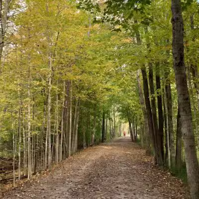 Paint Creek Trail parking - Dutton Rd - Rochester Hills,