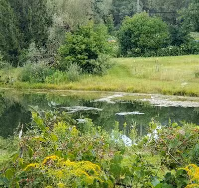 Paint Creek Trail parking - Dutton Rd - Rochester Hills,