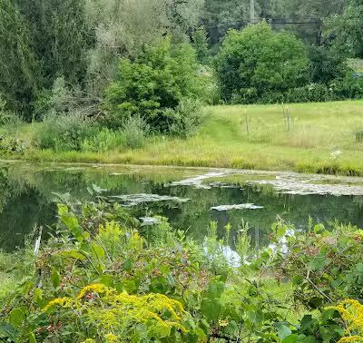 Paint Creek Trail parking - Dutton Rd - Rochester Hills,