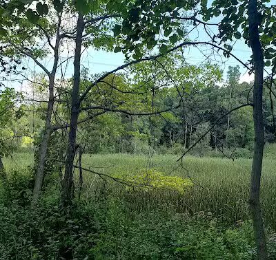 Paint Creek Trail parking - Dutton Rd - Rochester Hills,