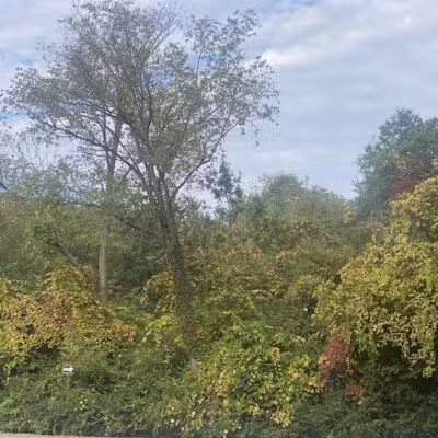 Spencer Park and Beach - Rochester Hills,