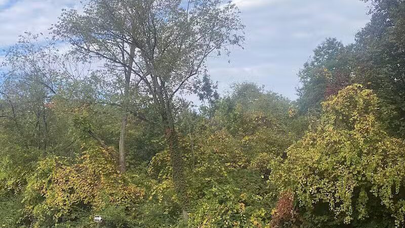 Spencer Park and Beach - Rochester Hills,