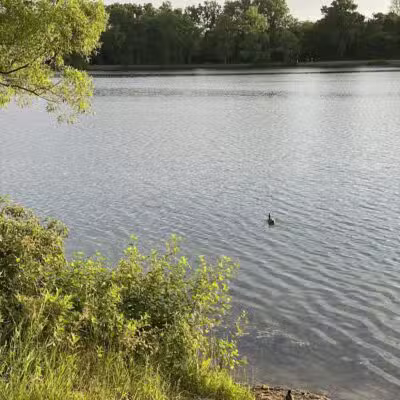 Thelma Spencer Park - Rochester Hills,