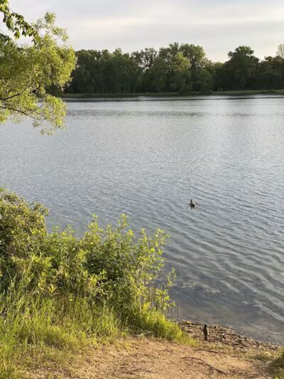 Thelma Spencer Park - Rochester Hills,