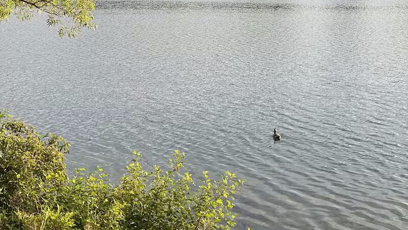 Thelma Spencer Park - Rochester Hills,