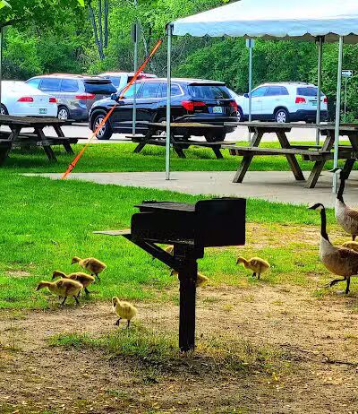 Thelma Spencer Park - Rochester Hills,
