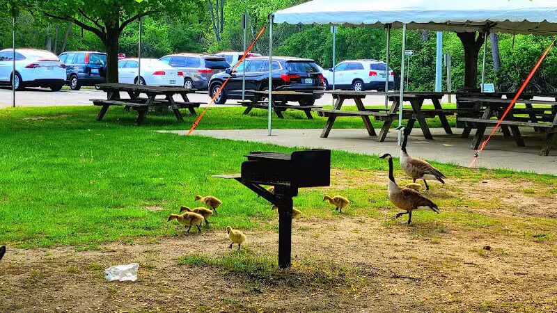 Thelma Spencer Park - Rochester Hills,