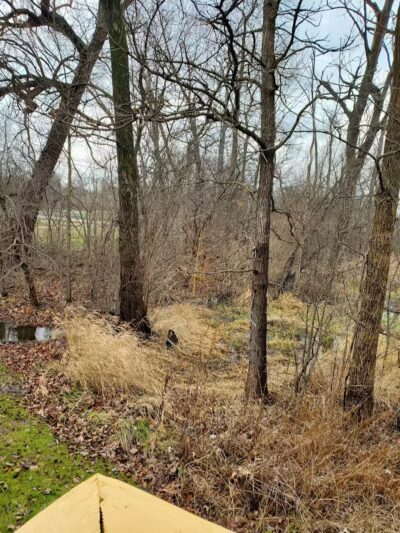 Veterans Memorial Pointe - Rochester Hills,