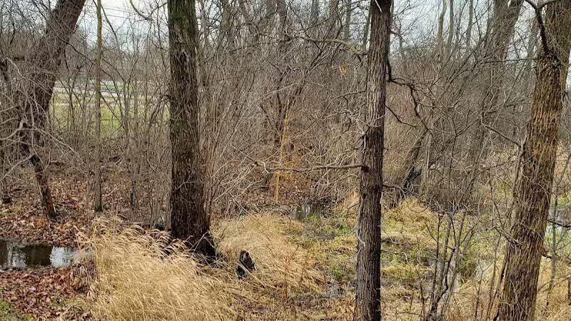 Veterans Memorial Pointe - Rochester Hills,